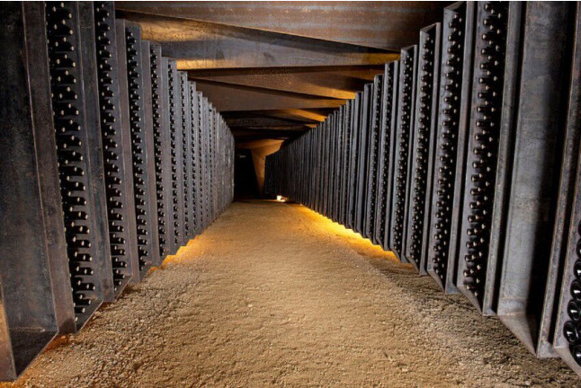 Visita Guiada al Celler Brugarol con Degustación de Vinos y Aceites y Comida para dos en Finca Bell-Lloc (Palamós, Girona)