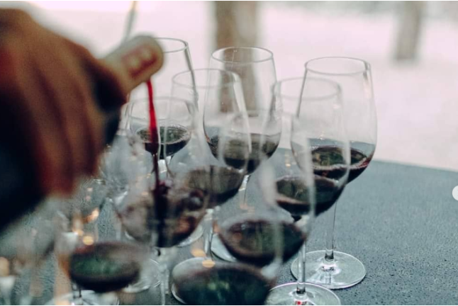 Visita Guiada al Celler Brugarol con Degustación de Vinos, Aceites y Productos B para dos en Finca Bell-Lloc (Palamós, Girona)