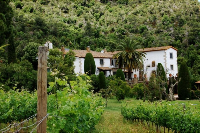 Visita Guiada al Celler Brugarol con Degustación de Vinos, Aceites y Productos B para dos en Finca Bell-Lloc (Palamós, Girona)