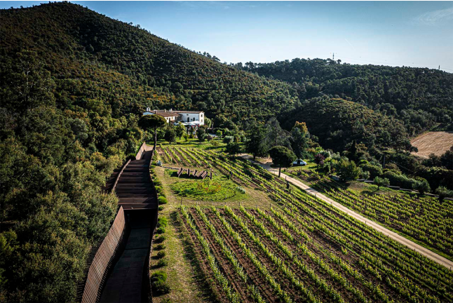 Visita Guiada al Celler Brugarol con Degustación de Vinos, Aceites y Productos B para dos en Finca Bell-Lloc (Palamós, Girona)