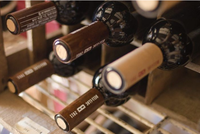 Visita Guiada al Celler Brugarol con Degustación de Vinos, Aceites y Productos B para dos en Finca Bell-Lloc (Palamós, Girona)