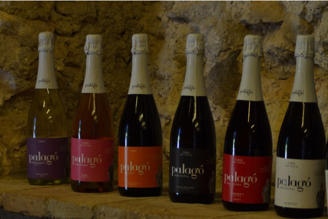 Taller "Crea tu Cava": Visita, Cata y Taller de Degüelle para dos en Artcava - Celler Can Batlle (Avinyó Nou, Barcelona)