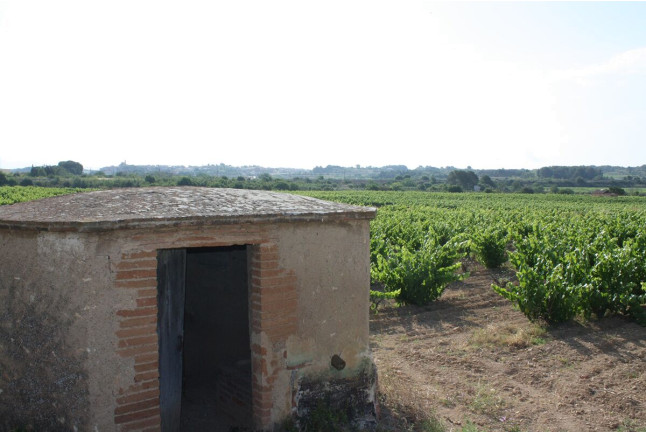 Visita a Cellers Blanch con Cata de Vinos para dos (Puigpelat, Tarragona)
