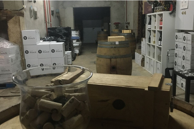 Visita a Cellers Blanch con Cata de Vinos para dos (Puigpelat, Tarragona)