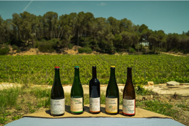 Visita a Bodega y Cata de Vinos en Celler Clot de les Soleres (Piera, Barcelona)