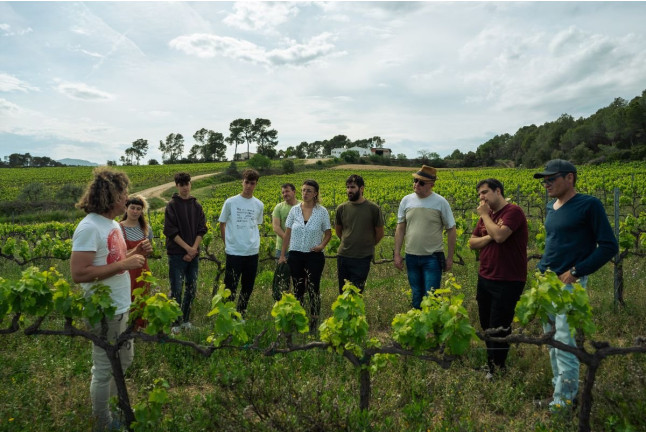 Visita a Bodega y Cata de Vinos en Celler Clot de les Soleres (Piera, Barcelona)