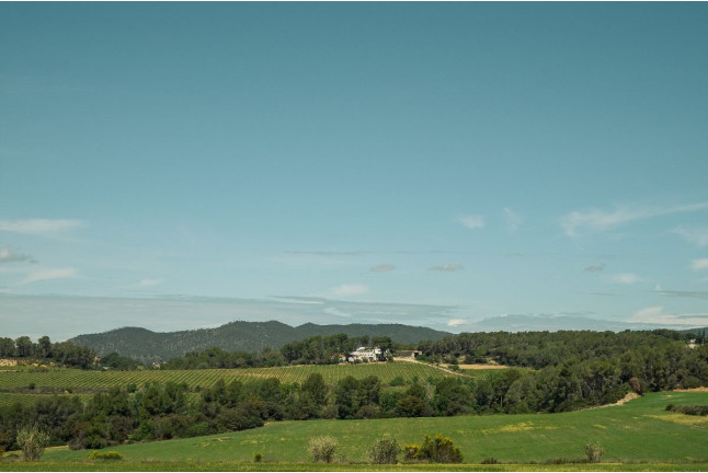Visita a Bodega y Cata de Vinos en Celler Clot de les Soleres (Piera, Barcelona)