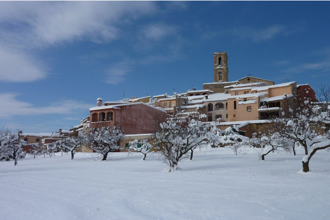 Visita al Celler Ficaria Vins con Cata de 3 Vinos para dos (La Figuera, Tarragona)