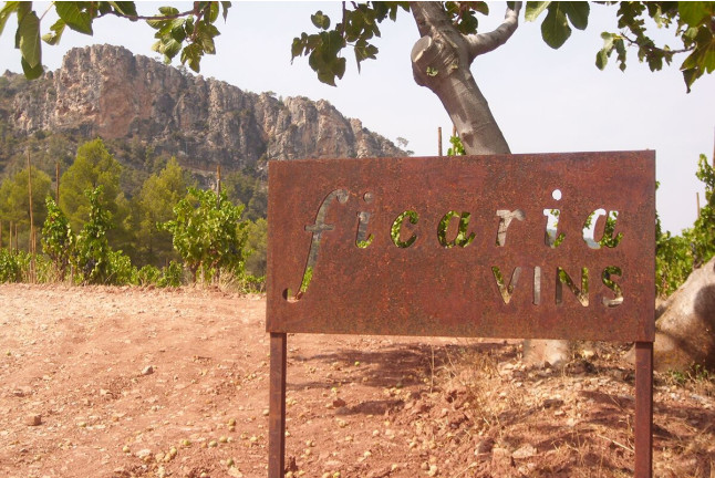 Visita al Celler Ficaria Vins con Cata de 3 Vinos para dos (La Figuera, Tarragona)
