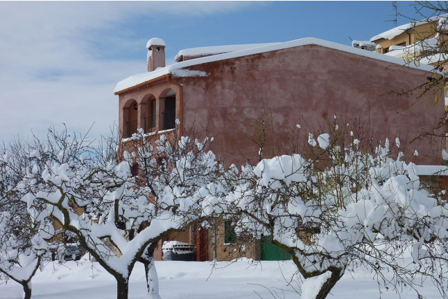 Visita al Celler Ficaria Vins con Cata de 3 Vinos para dos (La Figuera, Tarragona)