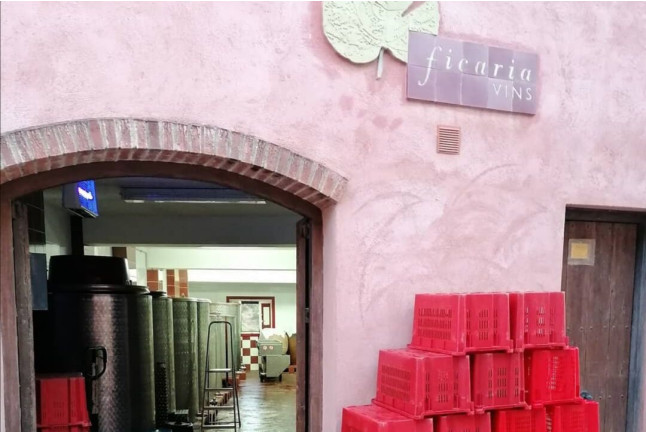 Visita al Celler Ficaria Vins con Cata de 3 Vinos para dos (La Figuera, Tarragona)