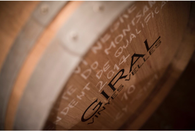 Visita a Bodega y Cata de Vinos para dos en el Celler Ronadelles - Cap de Ruc (Cornudella de Montsant, Tarragona)