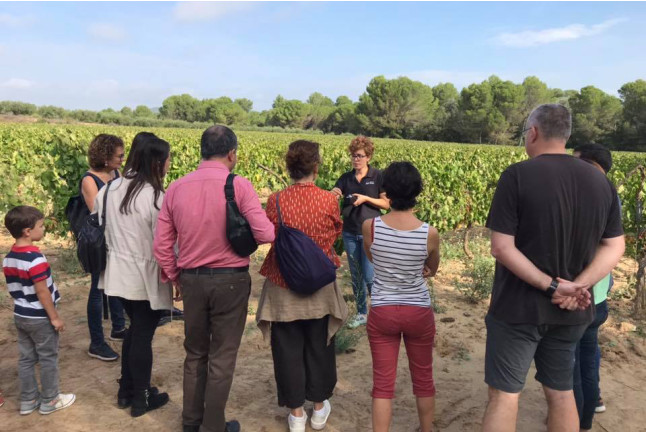 Visita a las Cavas y Viñedos con Cata y Aperitivo para dos en Cellers Carol Vallès (Subirats, Barcelona)