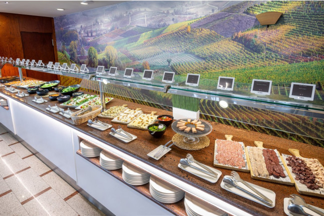 Cena en Alexandre Hotel Frontair Congress 4* (Sant Boi, Barcelona)