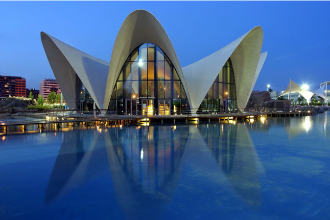 Cena en el Restaurante Submarino Oceanogràfic (Valencia)