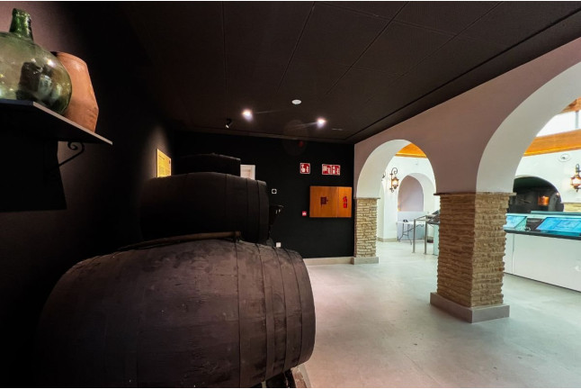 Visita Guiada a The Sherry Gallery - Centro Cultural Palacio San Dionisio con Cata de Vinos (Jerez de la Frontera, Cádiz)