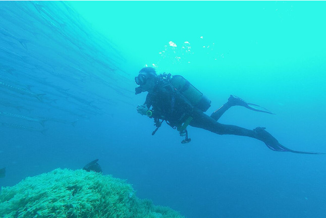 Curso de Buceo con Certificación PADI Open Water Diver (Madrid y Murcia)