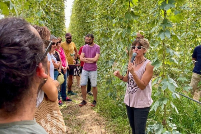 Visita a la Granja, Fábrica, Cata de Cerveza y Comida o Cena en Lo Vilot Farm Brewery (Almacelles, Lleida)