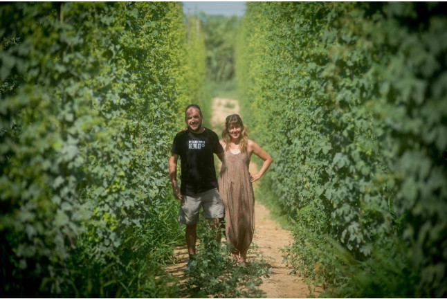 Visita a la Granja, Fábrica, Cata de Cerveza y Comida o Cena en Lo Vilot Farm Brewery (Almacelles, Lleida)