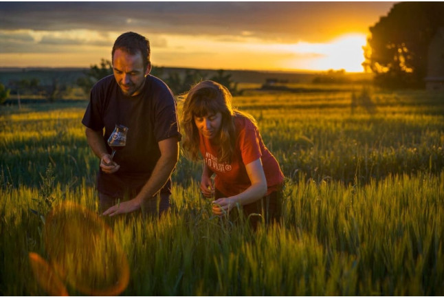 Visita a la Granja, Fábrica, Cata de Cerveza y Comida o Cena en Lo Vilot Farm Brewery (Almacelles, Lleida)