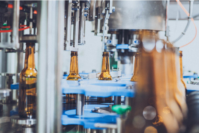 Visita a la Fábrica de Cerveza MICA con Cata de 4 Cervezas para 4 personas (Aranda de Duero, Burgos)
