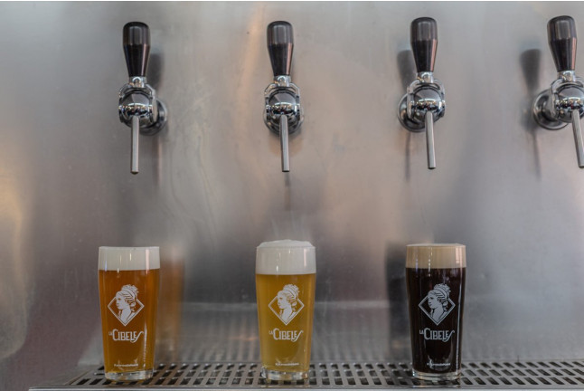 Visita a la Fábrica de Cervezas La Cibeles con Cata para dos (Leganés, Madrid)