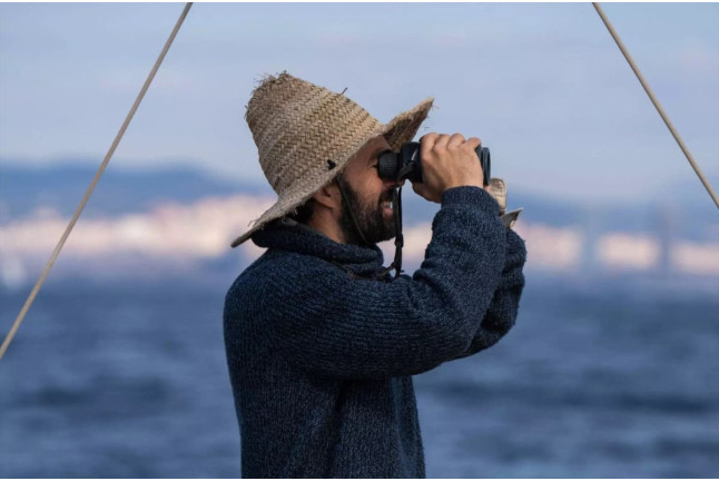 Ruta en Velero Tradicional con Avistamiento de Cetáceos y Fauna Marina (Barcelona)