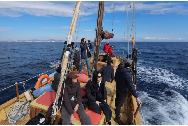 Ruta en Velero Tradicional con Avistamiento de Cetáceos y Fauna Marina (Barcelona)