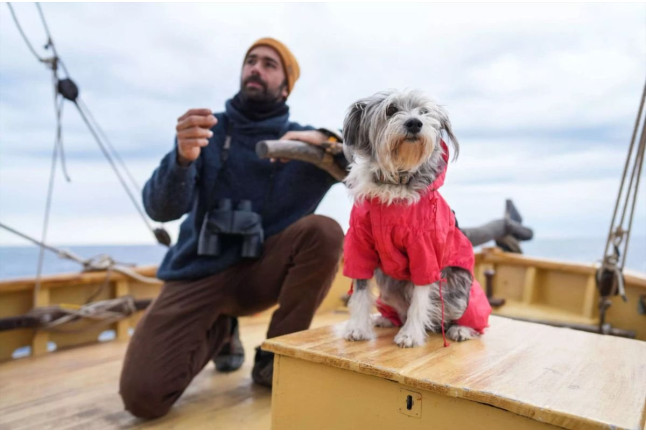 Ruta en Velero Tradicional con Avistamiento de Cetáceos y Fauna Marina (Barcelona)