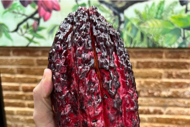 Taller de Bombonería, Trufas y Chocolatería (Barcelona)