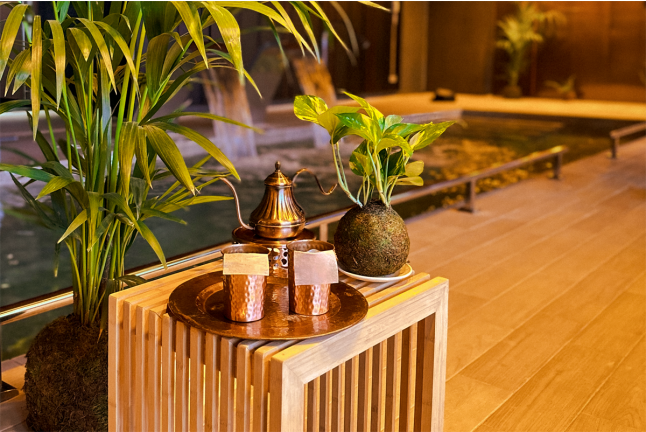 Circuito Spa en Cobre 29 en Hotel Meliá Valencia 4* (Valencia)