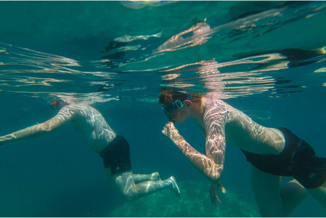 Snorkel en Coll Baix e Isla de Alcanada (Mallorca)