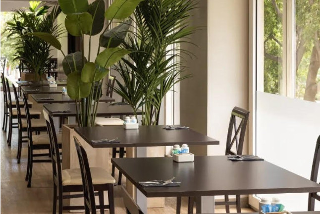 Circuito Spa y Desayuno Buffet en Hotel Catalonia Atenas 4* (Barcelona)