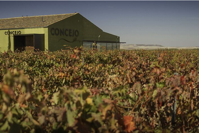 Visita Carredueñas a Concejo Bodegas con Cata de Vinos y Tapas (Valoria la Buena, Valladolid)