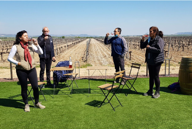 Visita Carredueñas a Concejo Bodegas con Cata de Vinos y Tapas (Valoria la Buena, Valladolid)