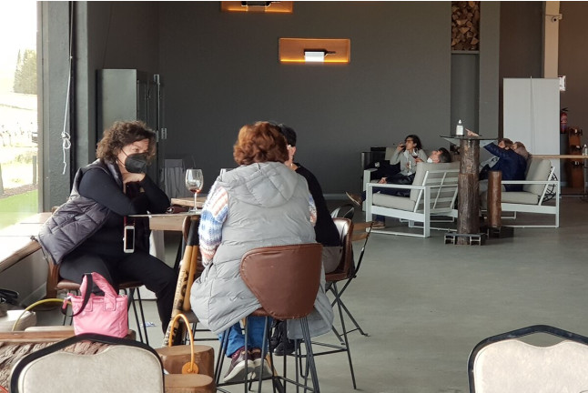 Visita Carredueñas a Concejo Bodegas con Cata de Vinos y Tapas (Valoria la Buena, Valladolid)