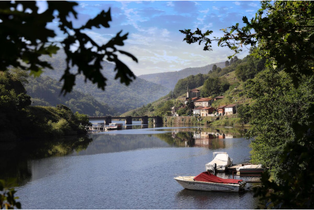 Visita a Bodega y Cata de Vinos para dos en Adegas Condado de Sequeiras de Ribeira Sacra (Chantada, Lugo) 