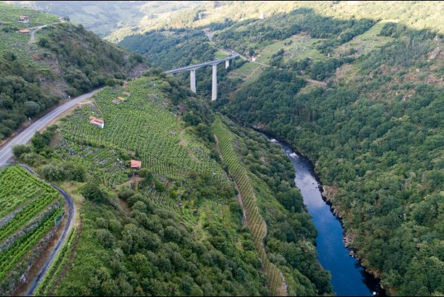 Visita a Bodega y Cata de Vinos en Adegas Condado de Sequeiras y Vuelo en Globo para dos (Lugo)