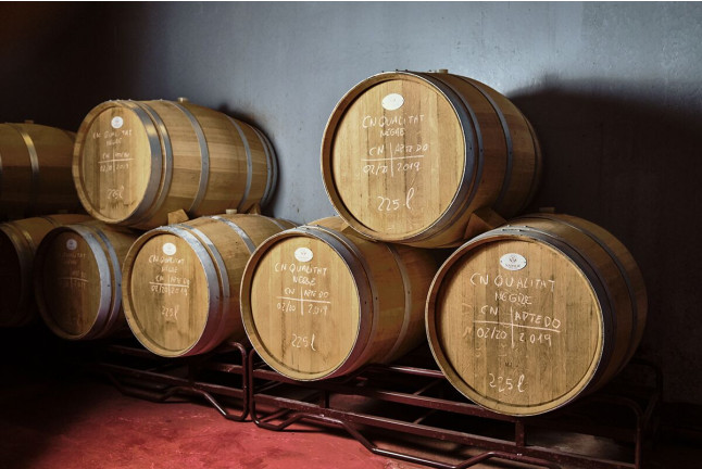 Visita a Cooperativa Agrícola de Garriguella con Cata de 4 Vinos y Tapas para dos (Garriguella, Girona)