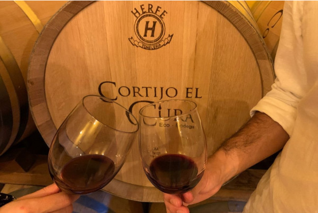 Visita a Bodega con Cata y Aperitivo de la Alpujarra en la Finca Ecológica del Cortijo El Cura Eco-Bodega (Laujar de Andarax, Almería)