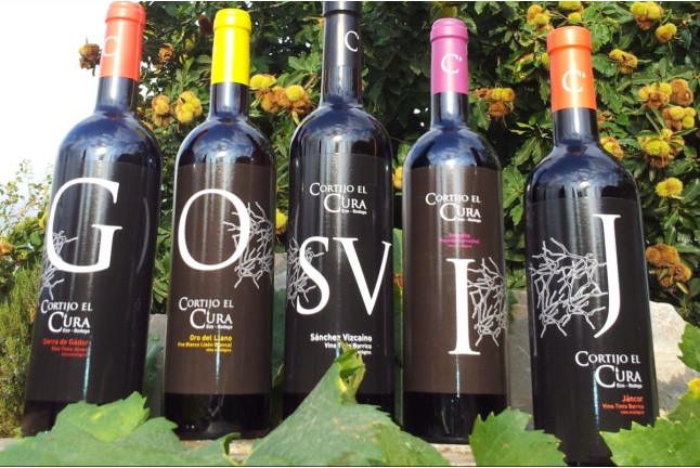 Visita a Bodega con Cata y Aperitivo de la Alpujarra en la Finca Ecológica del Cortijo El Cura Eco-Bodega (Laujar de Andarax, Almería)