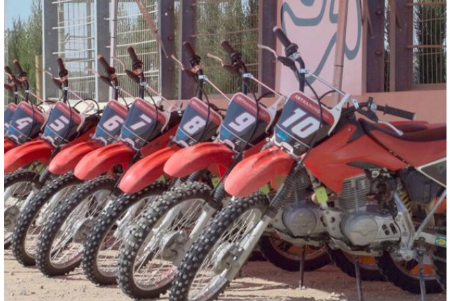 Curso DESDE CERO sobre Tierra: Curso de Conducción de una Moto HONDA CRF100 (Cheste, Valencia)