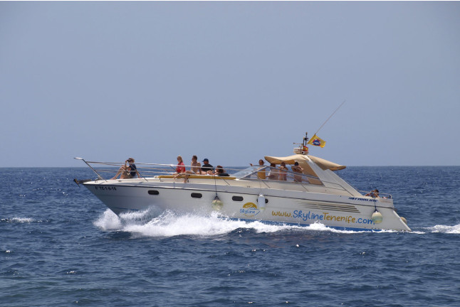 Crucero Privado con Avistamiento de Fauna Marina, Snorkel y Aperitivo para dos (Puerto Colón, Santa Cruz de Tenerife)