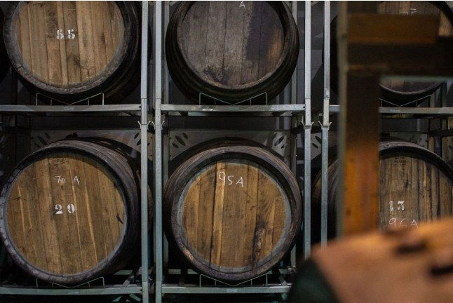 Experiencia Cuarenta Vendimias: Visita y Cata en Bodega Cuatro Rayas (La Seca, Valladolid)