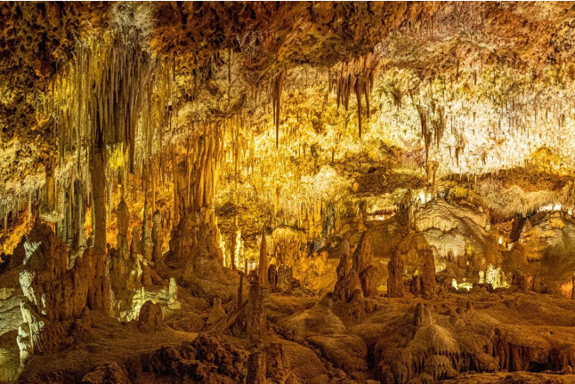 Visita a Cuevas dels Hams (Porto Cristo, Mallorca)
