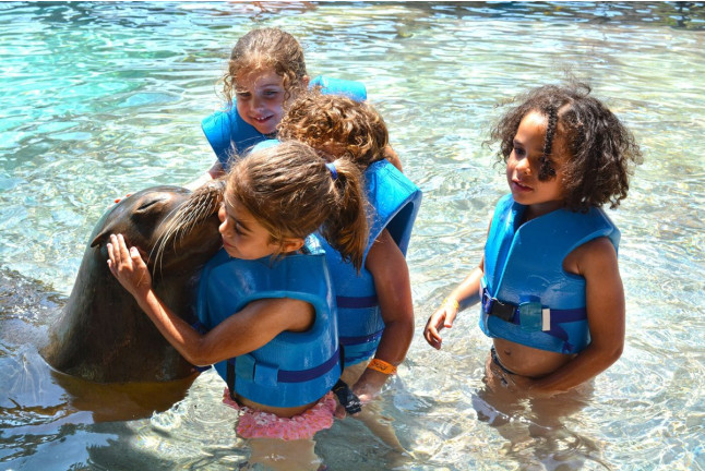 Cuidador de Leones Marinos en Aqua Natura Benidorm (Alicante)