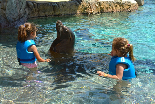 Cuidador de Leones Marinos en Aqua Natura Benidorm (Alicante)