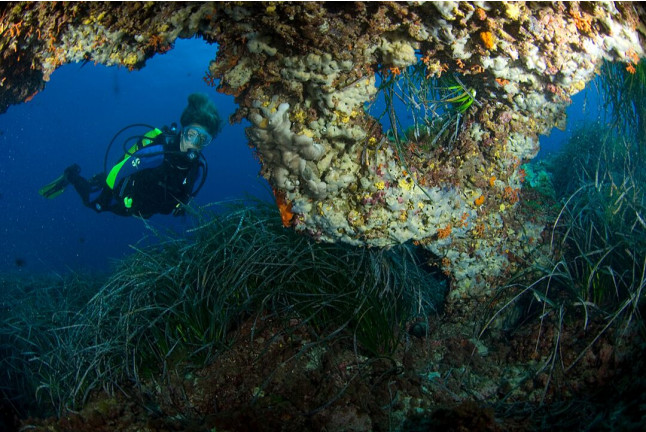 Curso de Buceo "Advanced Open Water Diver" en Calvià (Mallorca)