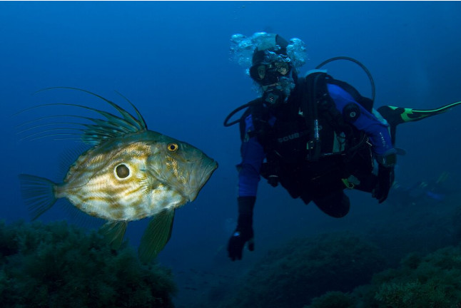 Curso de Buceo "Open Water Diver" en Calvià (Mallorca)