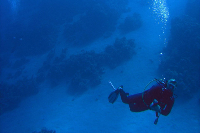 Curso de Buceo "Open Water Diver" (Málaga)